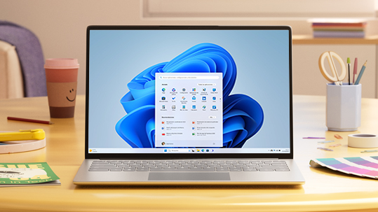 Windows 11 Pro